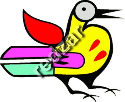 bird